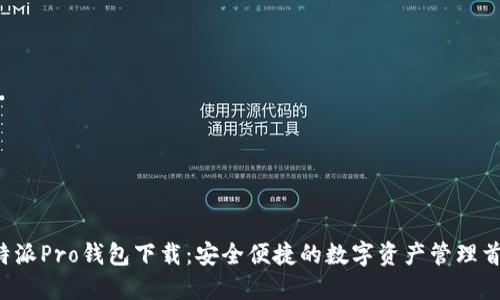 B特派Pro钱包下载：安全便捷的数字资产管理首选