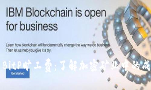 深入解析BitP旷工费：了解加密矿业中的成本与收益