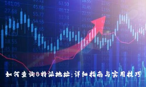 如何查询B特派地址:详细指南与实用技巧