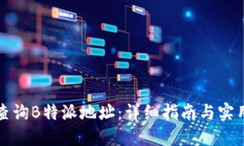 如何查询B特派地址:详细指南与实用技巧