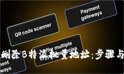 如何高效删除B特派批量地址:步骤与技巧分享
