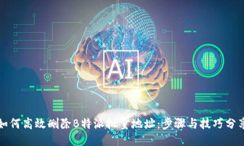 如何高效删除B特派批量地址:步骤与技巧分享