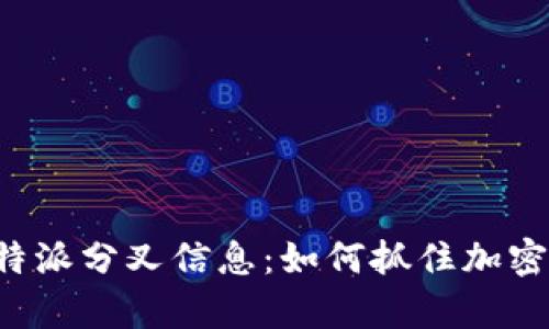 深度解析B特派分叉信息:如何抓住加密市场的机遇