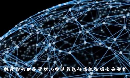 提升你的财务管理:B特派钱包的高级选项全面解析