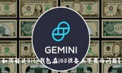 如何解决Bitp钱包在iOS设备上下载的问