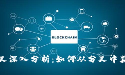 比特派发分叉深入分析:如何从分叉中获取更多收益