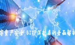 提升您的数字资产安全：BITP保护盾的