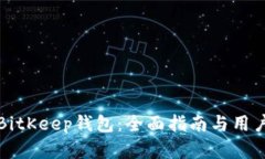 如何导入BitKeep钱包：全面指南与用户