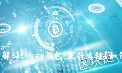 深入了解BitKeep钱包：是什么链？如何使用？