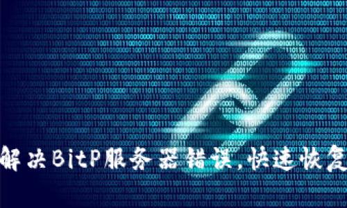 如何解决BitP服务器错误，快速恢复服务