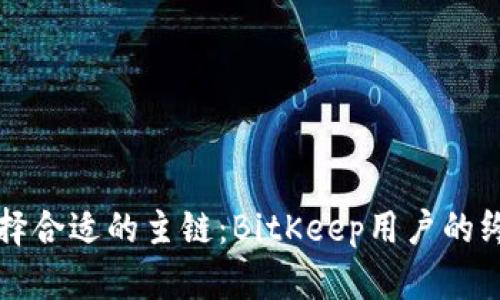 如何选择合适的主链:BitKeep用户的终极指南