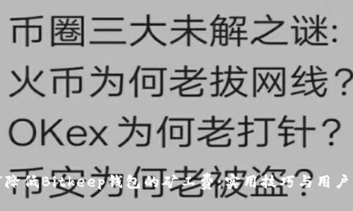 如何降低Bitkeep钱包的矿工费:实用技巧与用户见解