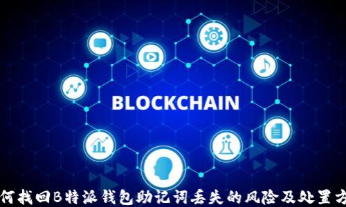 
如何找回B特派钱包助记词丢失的风险及处置方法