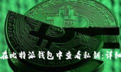 如何在比特派钱包中查看私钥：详细指