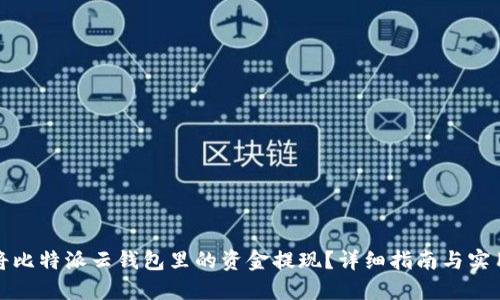 如何将比特派云钱包里的资金提现?详细指南与实用技巧
