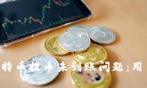 如何解决B特币提币未到账问题:用户必备指南