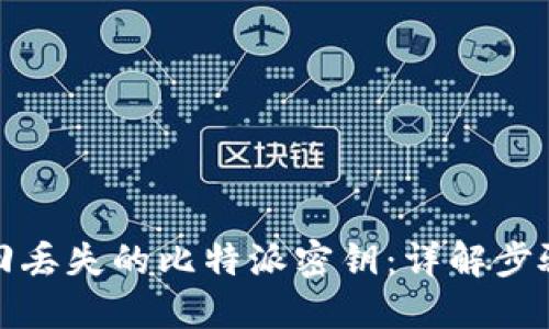 如何找回丢失的比特派密钥：详解步骤与技巧