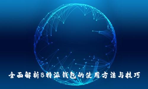全面解析B特派钱包的使用方法与技巧