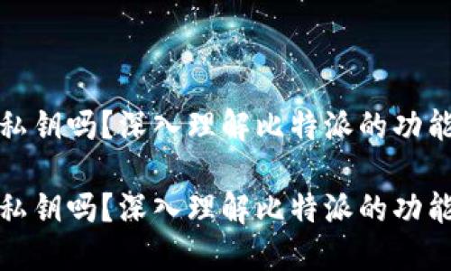 比特派是私钥吗？深入理解比特派的功能与安全性

比特派是私钥吗？深入理解比特派的功能与安全性