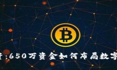 虚拟币投资：650万资金如何布局数字资产市场？