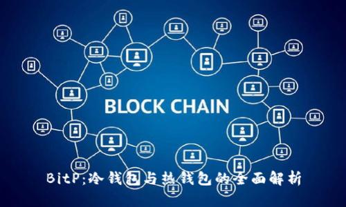 BitP：冷钱包与热钱包的全面解析
