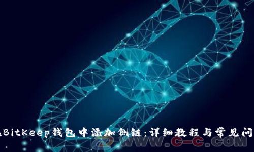 如何在BitKeep钱包中添加侧链：详细教程与常见问题解答
