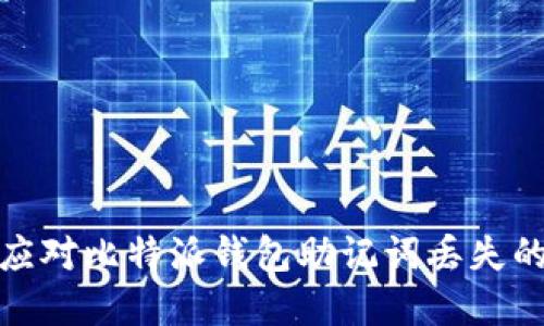 如何应对比特派钱包助记词丢失的情况