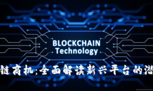 探索区块链商机：全面解读新兴平台的潜力与挑战