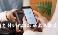 比特支付BTP2021的上涨潜力分析