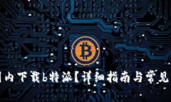 如何在国内下载b特派？详细指南与常见问题解答