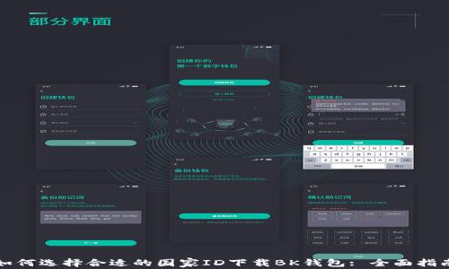 
如何选择合适的国家ID下载BK钱包: 全面指南