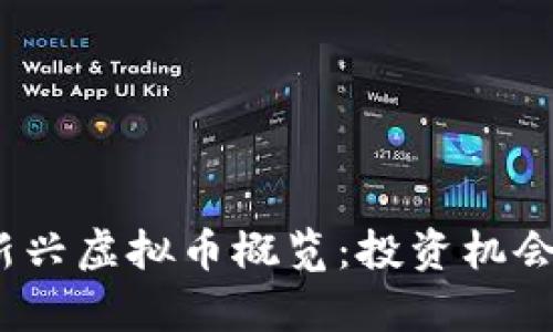 : 2023年新兴虚拟币概览：投资机会与风险分析