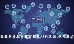: 全面解析虚拟币数字钱包APP：选择、
