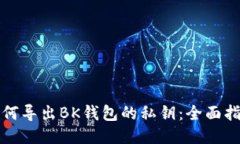如何导出BK钱包的私钥：全面指南