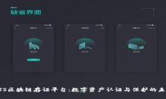CTS区块链存证平台：数字资产认证与保护的未来