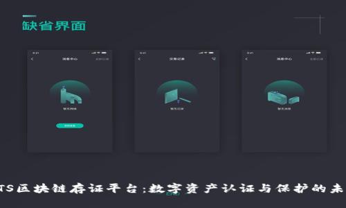 CTS区块链存证平台：数字资产认证与保护的未来