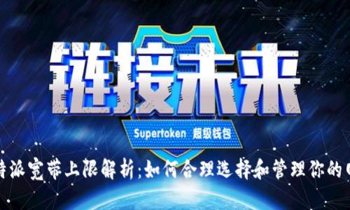 比特派宽带上限解析：如何合理选择和管理你的网络
