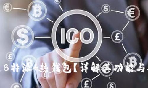什么是B特派 热钱包？详解其功能与安全性