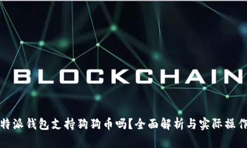 : 比特派钱包支持狗狗币吗？全面解析与实际操作指南