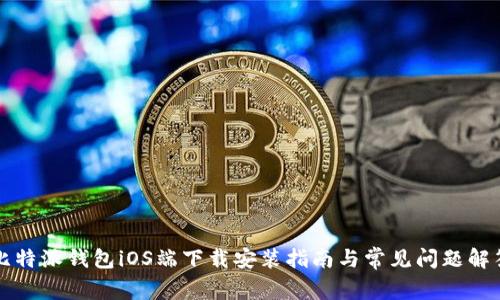 比特派钱包iOS端下载安装指南与常见问题解答