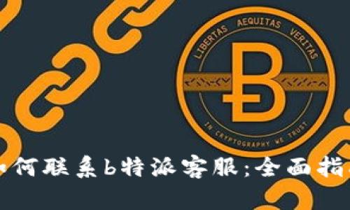 如何联系b特派客服：全面指南