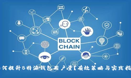 如何提升B特派钱包用户量？有效策略与实践指南