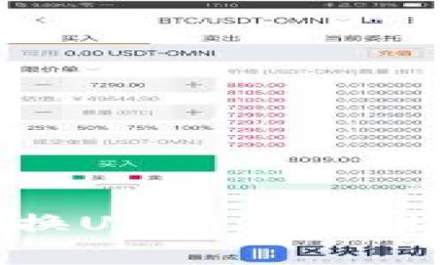 在BK钱包中如何兑换USDT：详细指南与常见问题解答