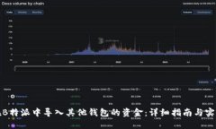 如何在B特派中导入其他钱包的资金：详细指南与