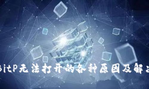 解决BitP无法打开的各种原因及解决方案