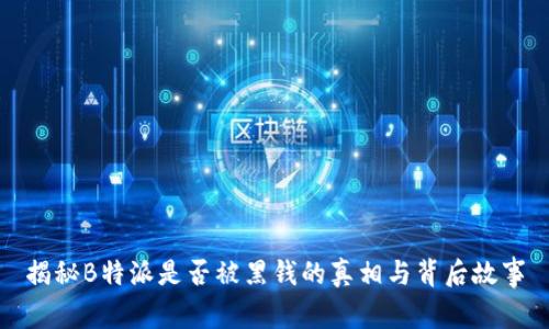 揭秘B特派是否被黑钱的真相与背后故事