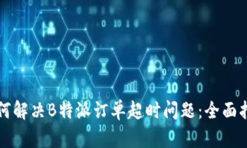 如何解决B特派订单超时问题：全面指南