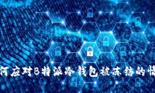 如何应对B特派冷钱包被冻结的情况