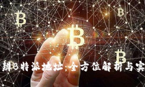 如何分辨B特派地址：全方位解析与实用指南