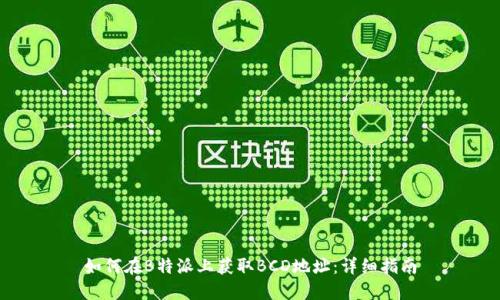 如何在B特派上获取BCD地址：详细指南